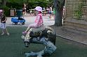 Picture 8207